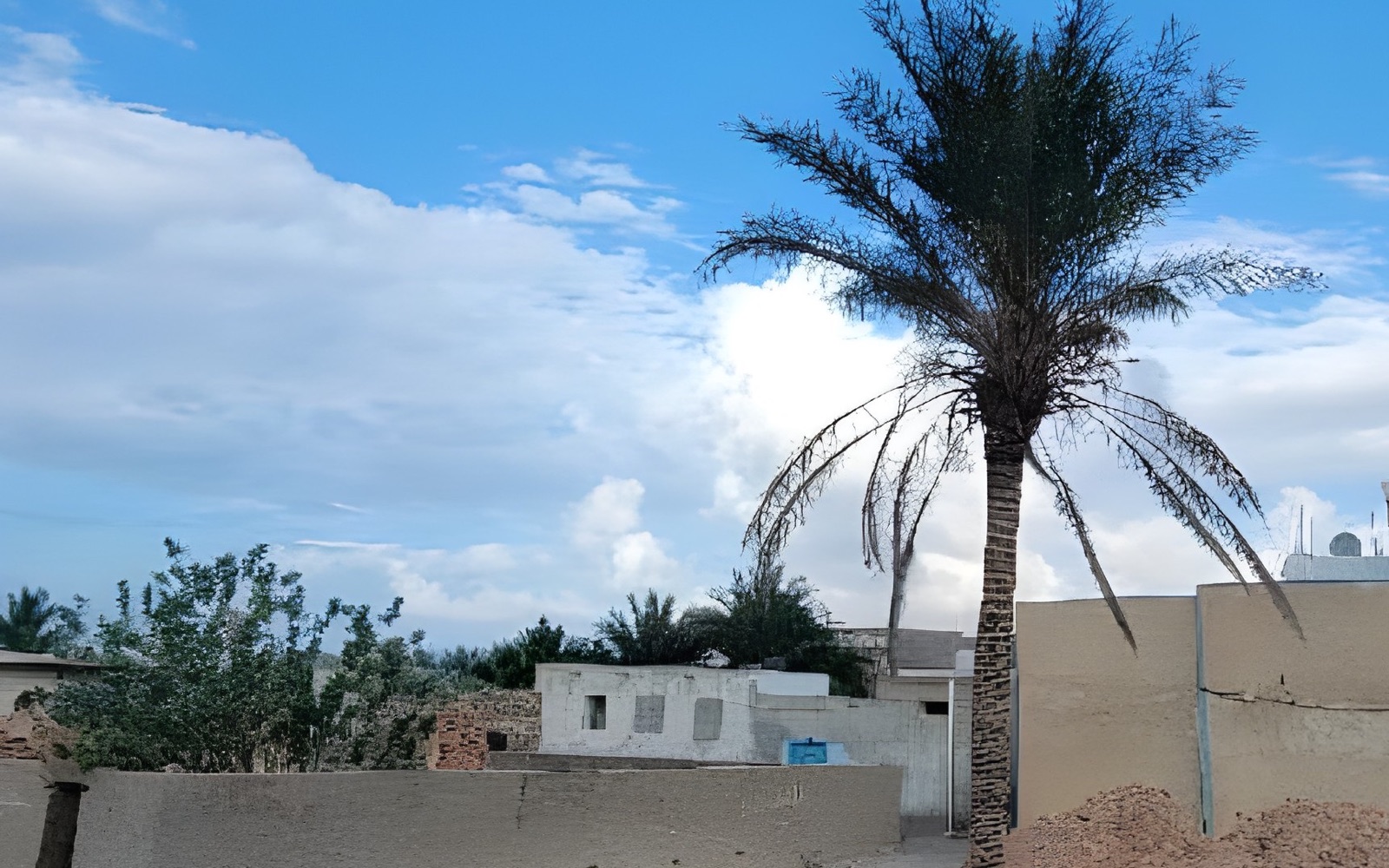 Hadibo