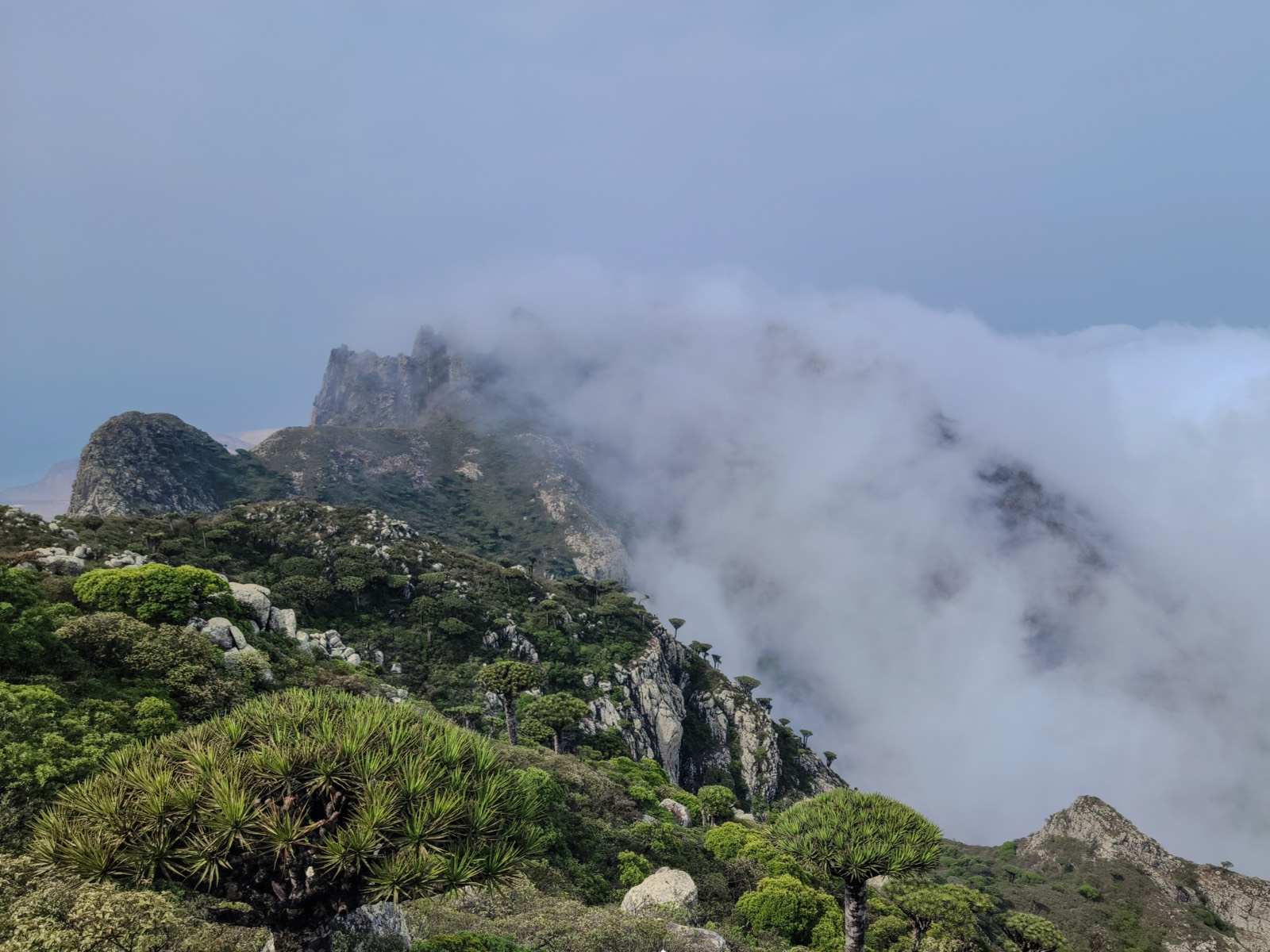 Mountains in the clouds