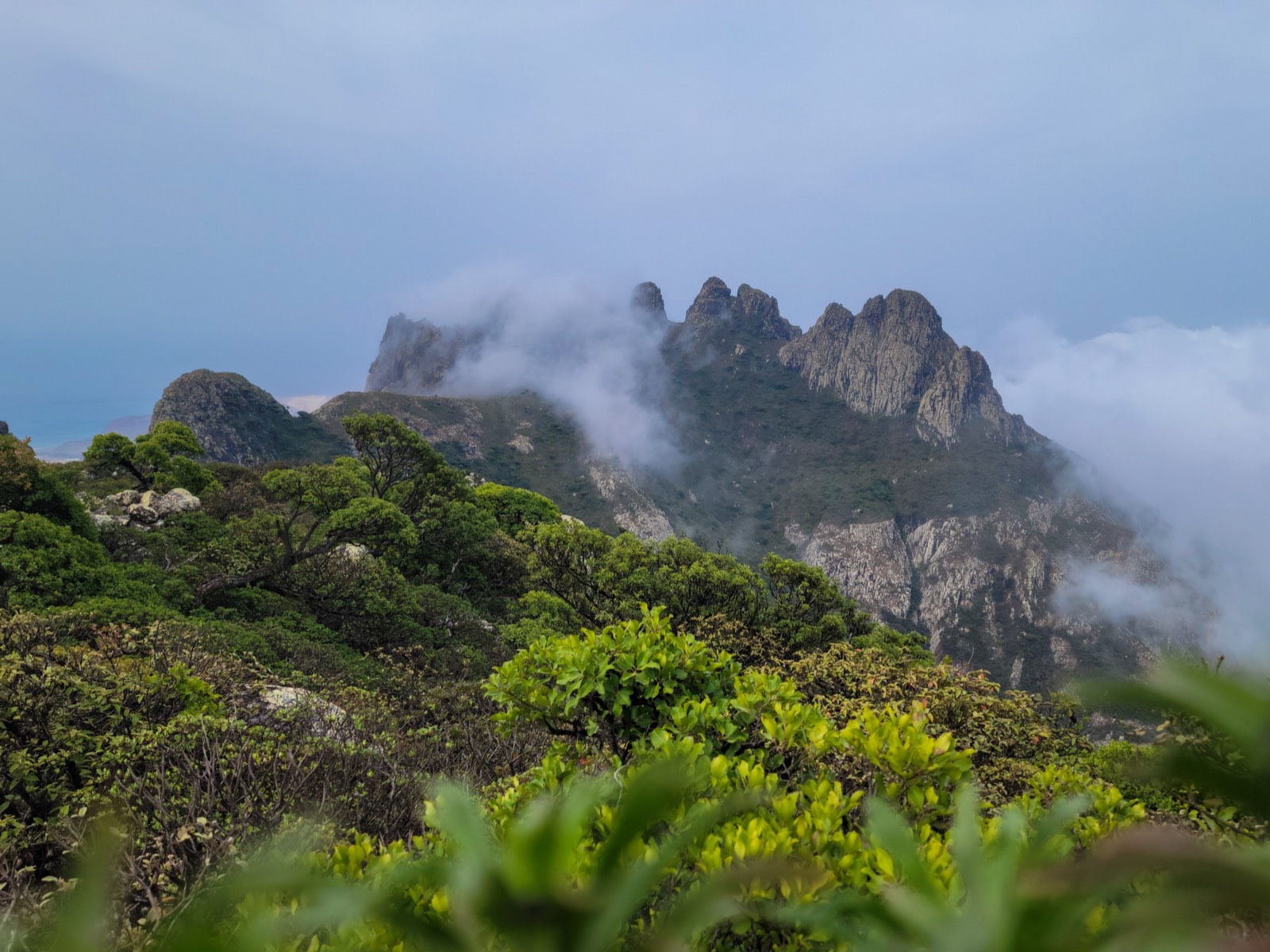 Hiking Tours